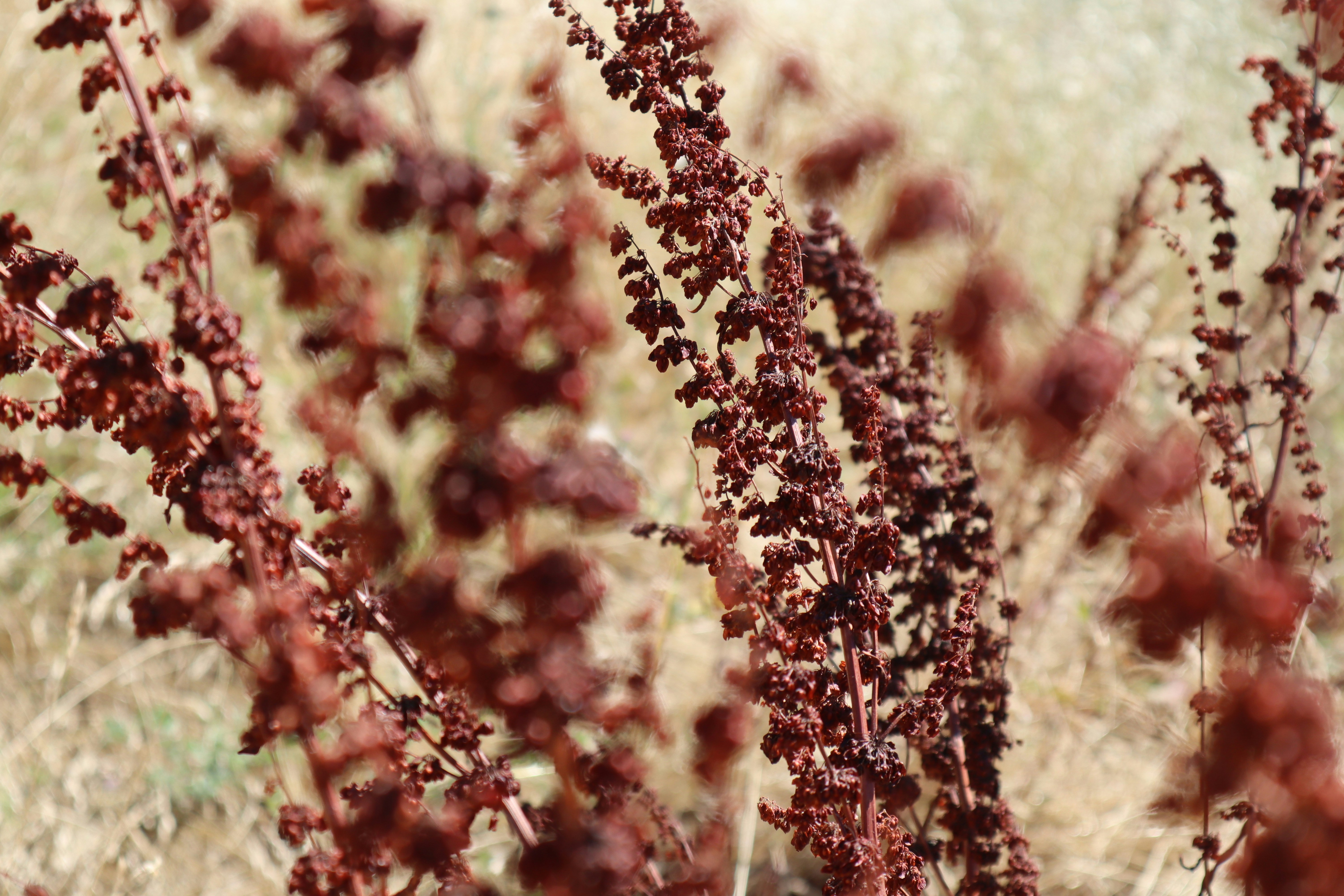 Photo by sweetb_photography