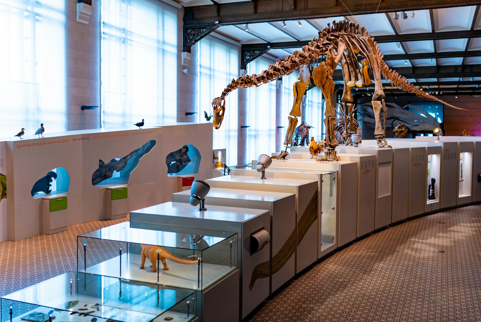 Astrup Fearnley Museum in Oslo with modern art and dinosaur skeleton display