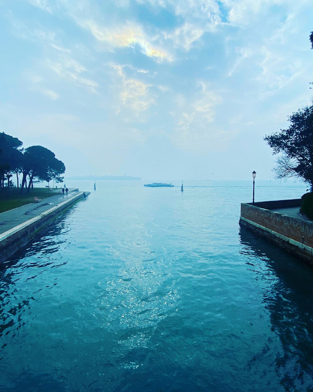 body of water near trees during daytime