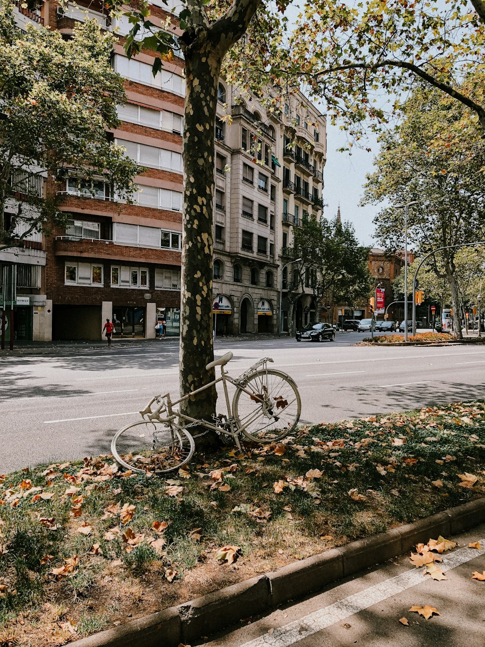 white bicycle on road near brown concrete building during daytime