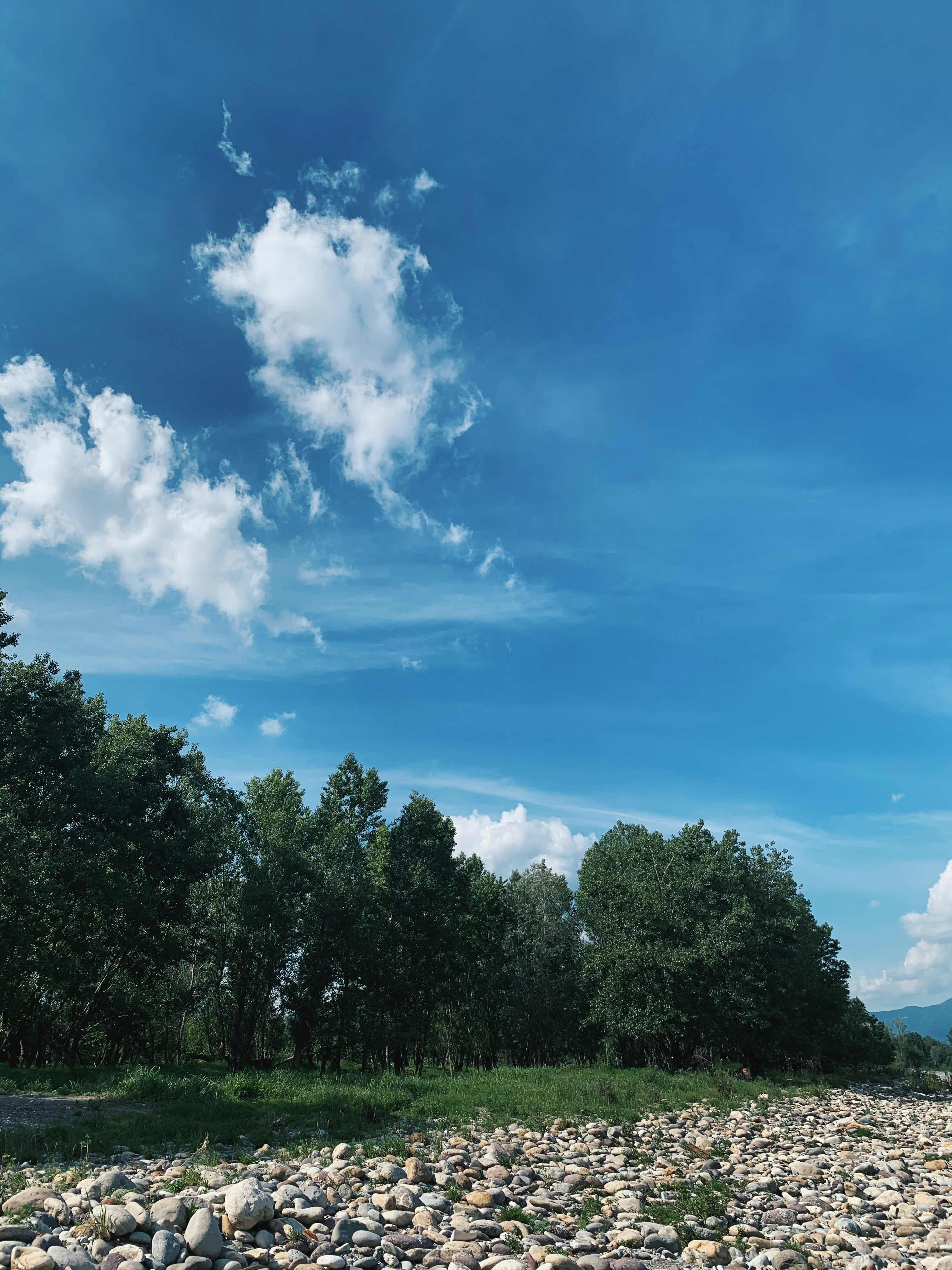 Green trees under blue sky and white clouds during daytime photo – Free ...