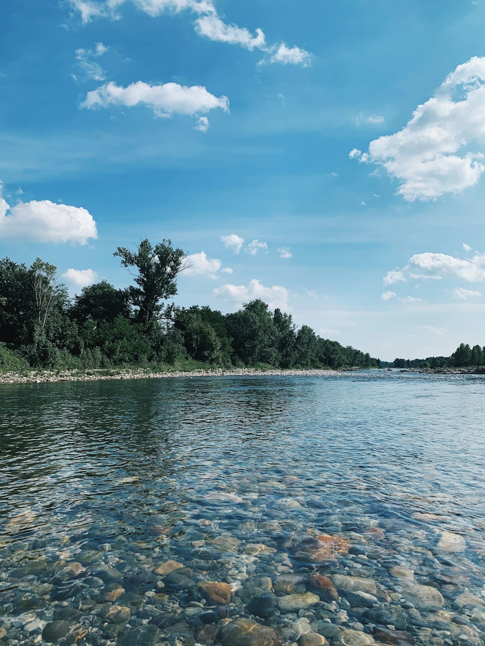 green trees beside body of water under blue sky and white clouds during daytime