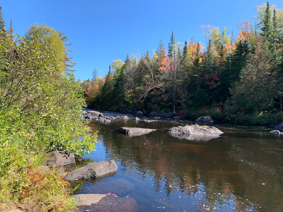 River photo spot Rivière Doncaster Mont-Tremblant