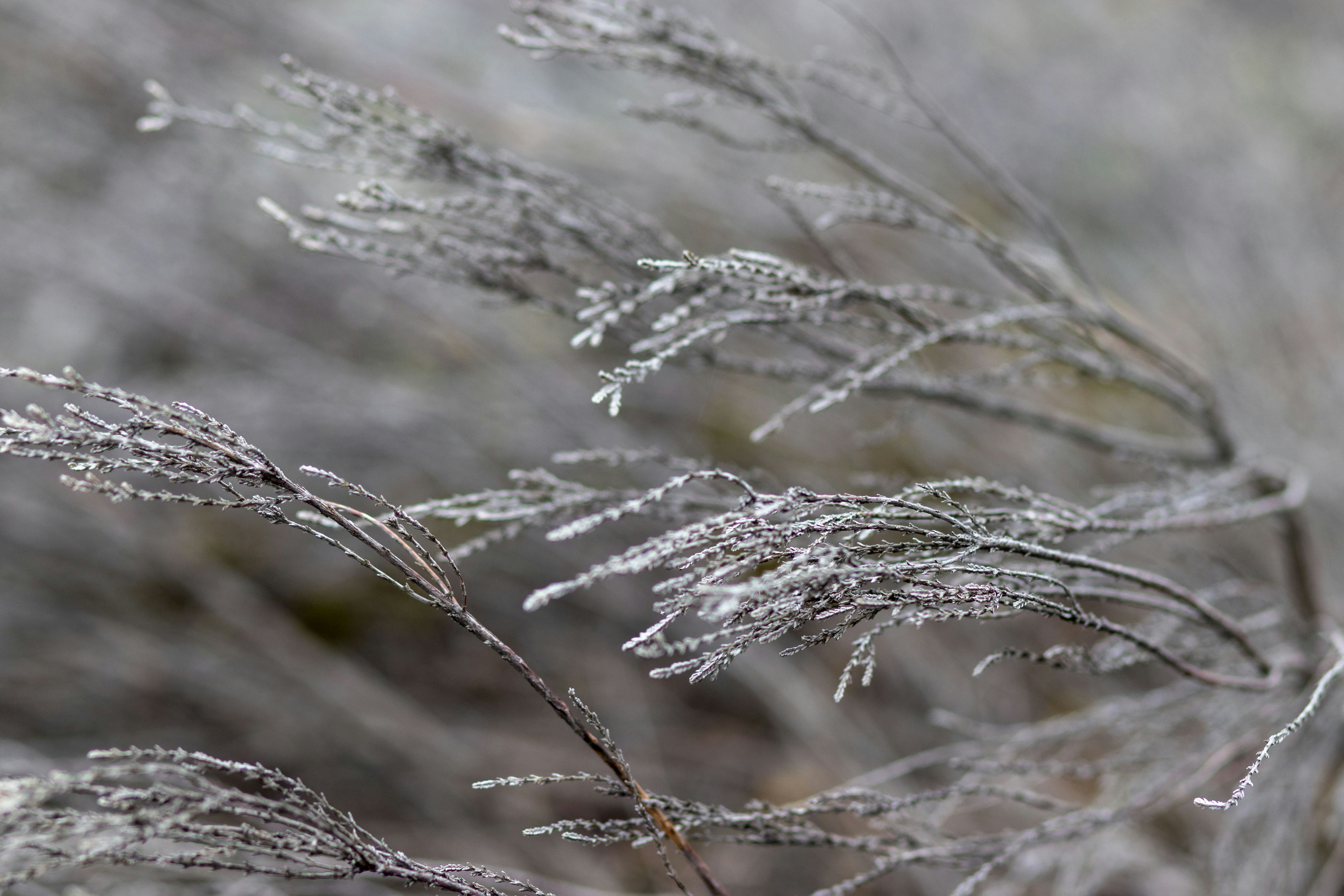 Photo by bolotohodova