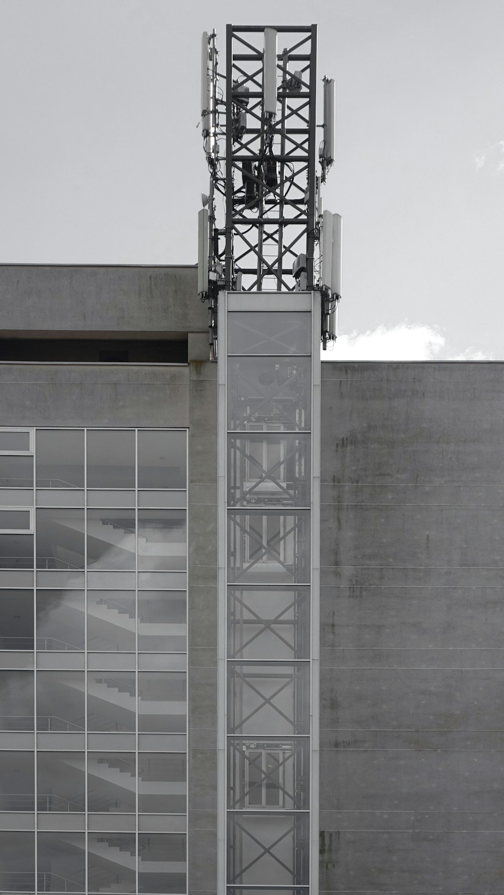 gray metal ladder near glass building