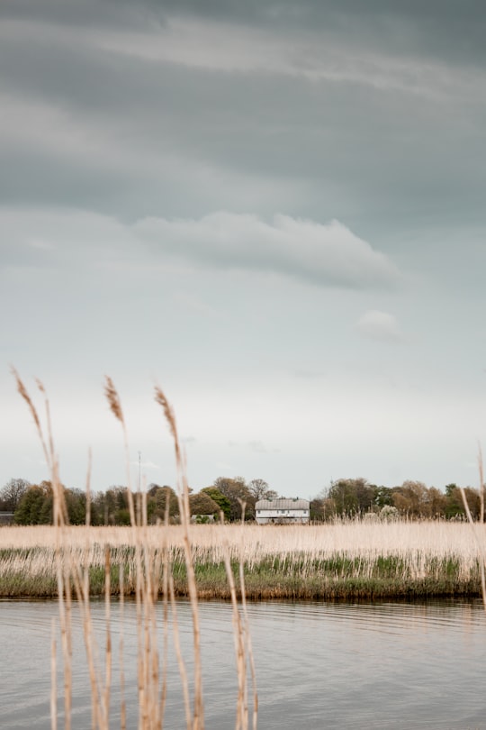 green grass field under cloudy sky during daytime in Ainaži Latvia