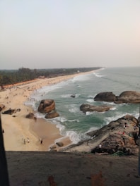 people on beach during daytime