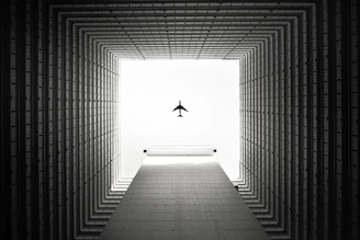 black bird flying over the building