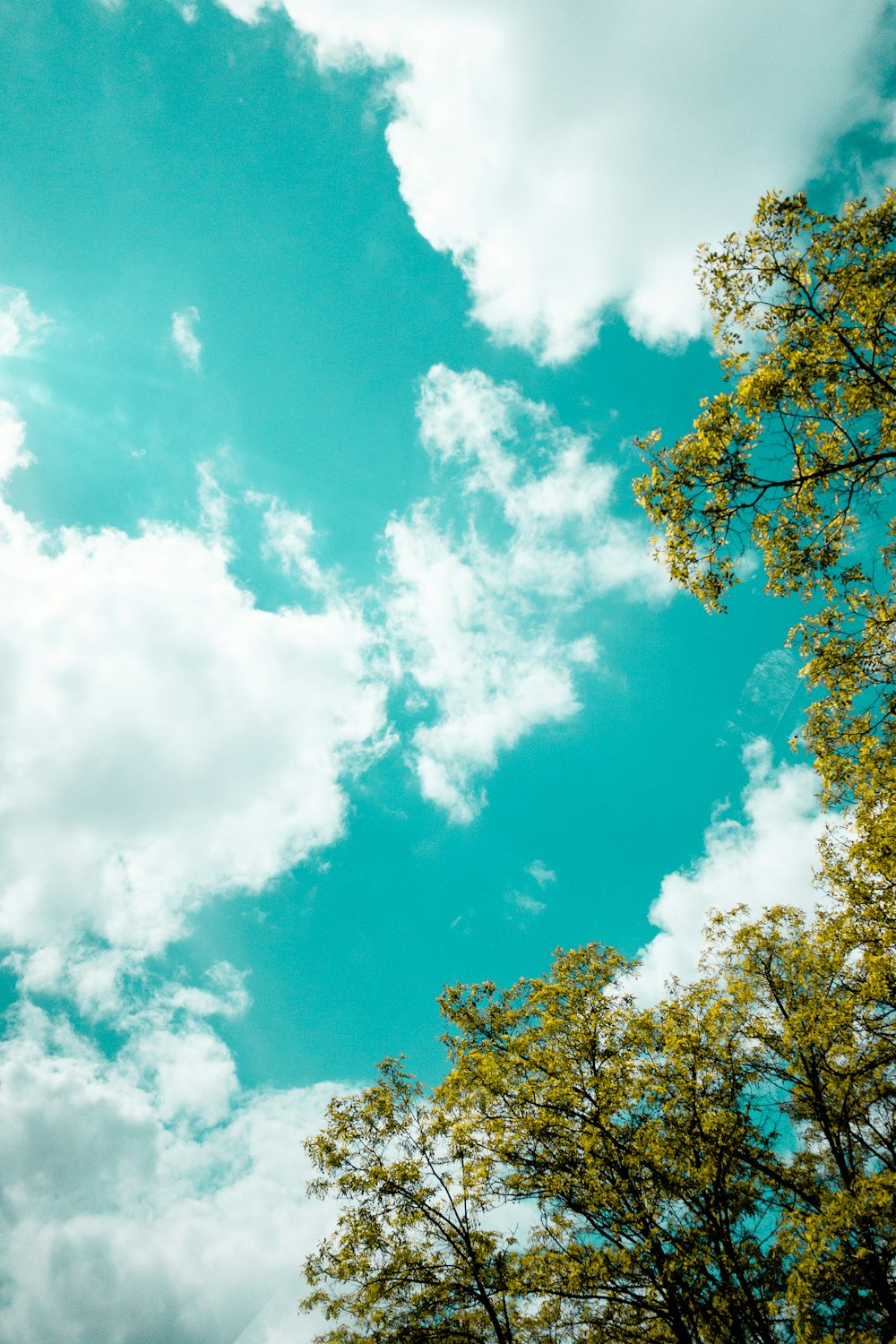 a blue sky filled with clouds and trees