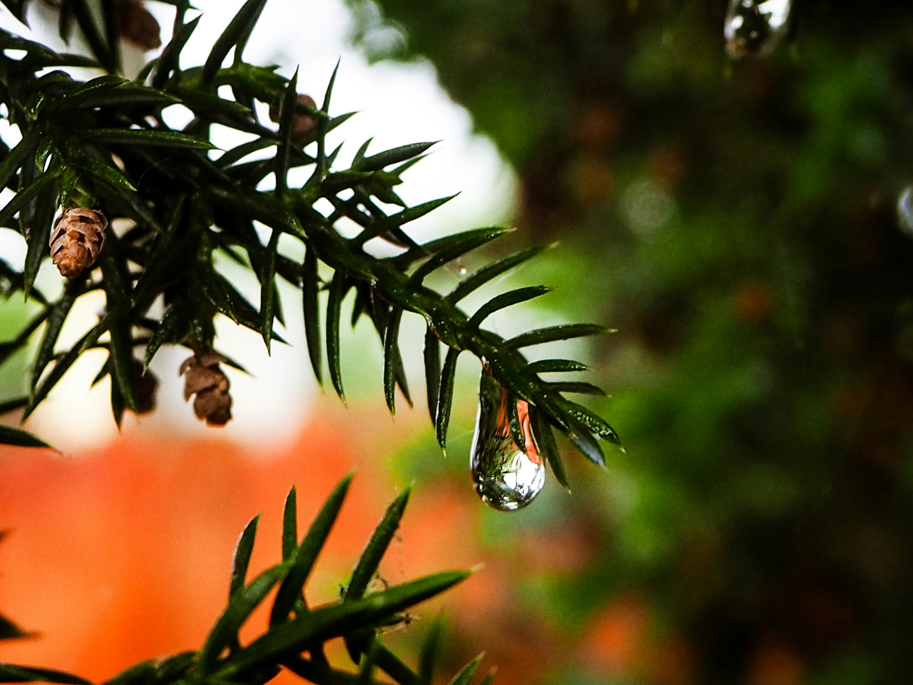 Photo by lavendercitrus