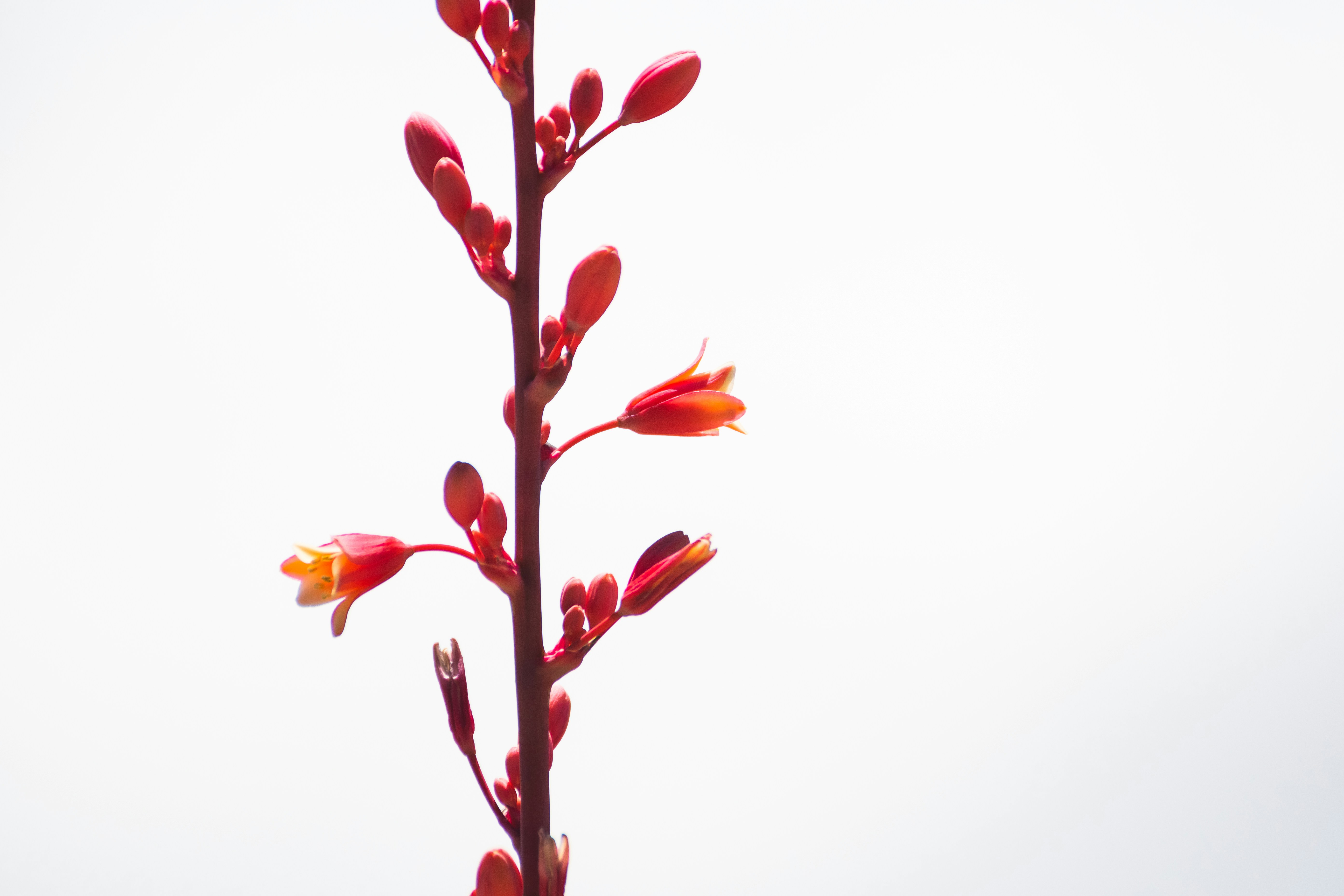 Photo by luisjlara343