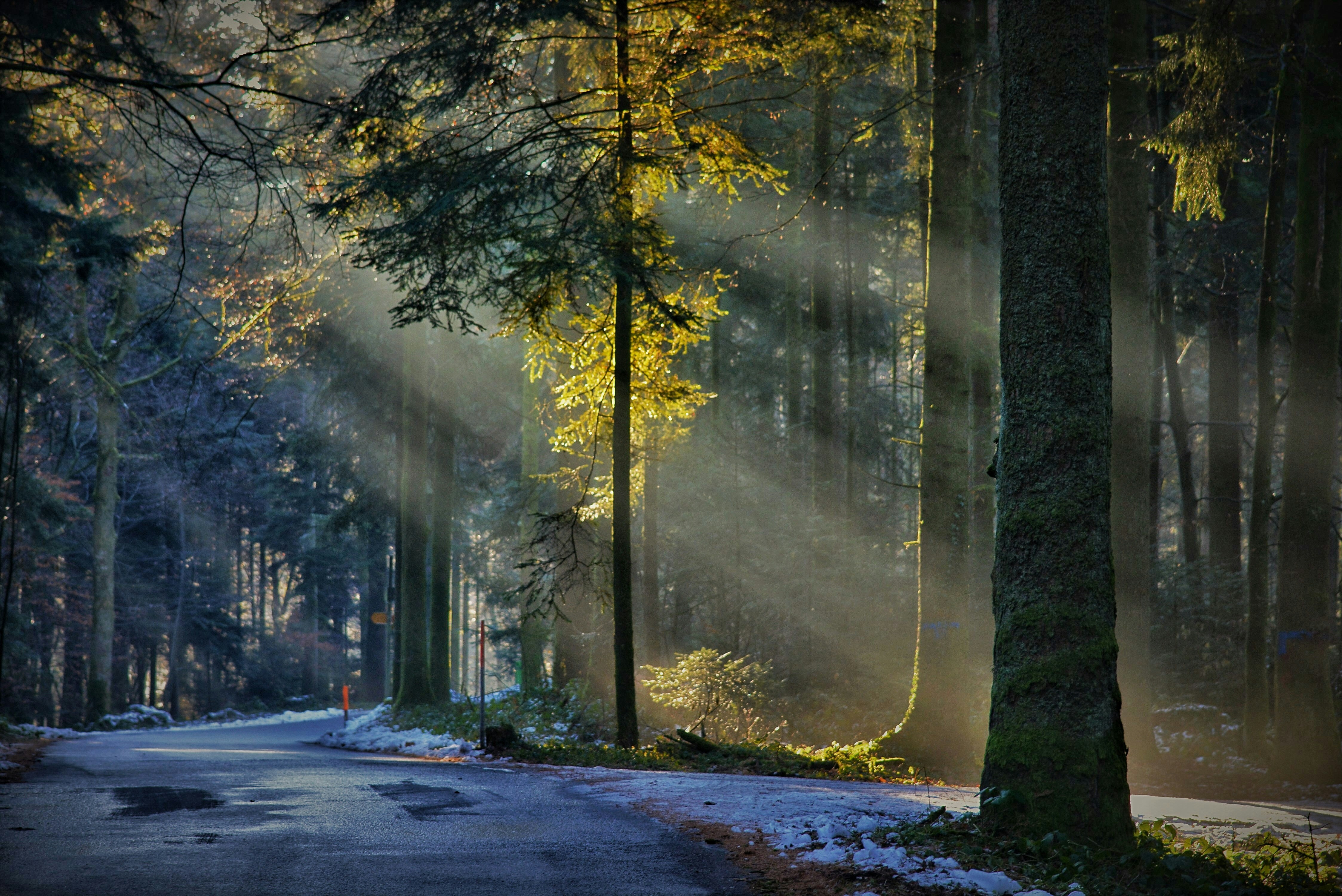 Photo by pedrino5_official