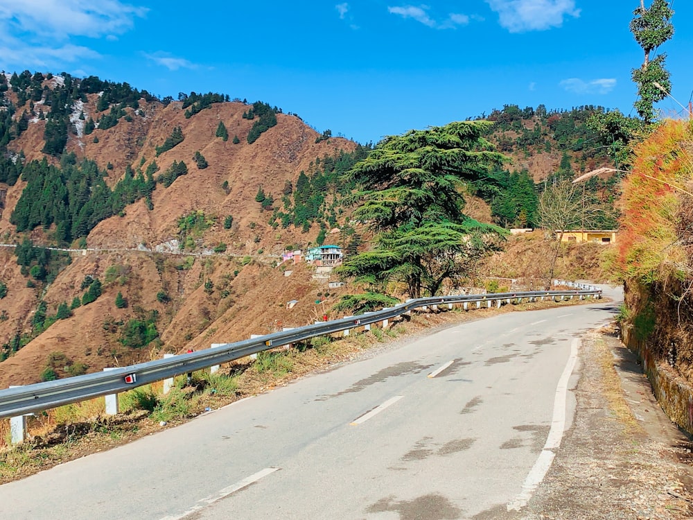 Graue Betonstraße in der Nähe von Brown Mountain unter blauem Himmel tagsüber