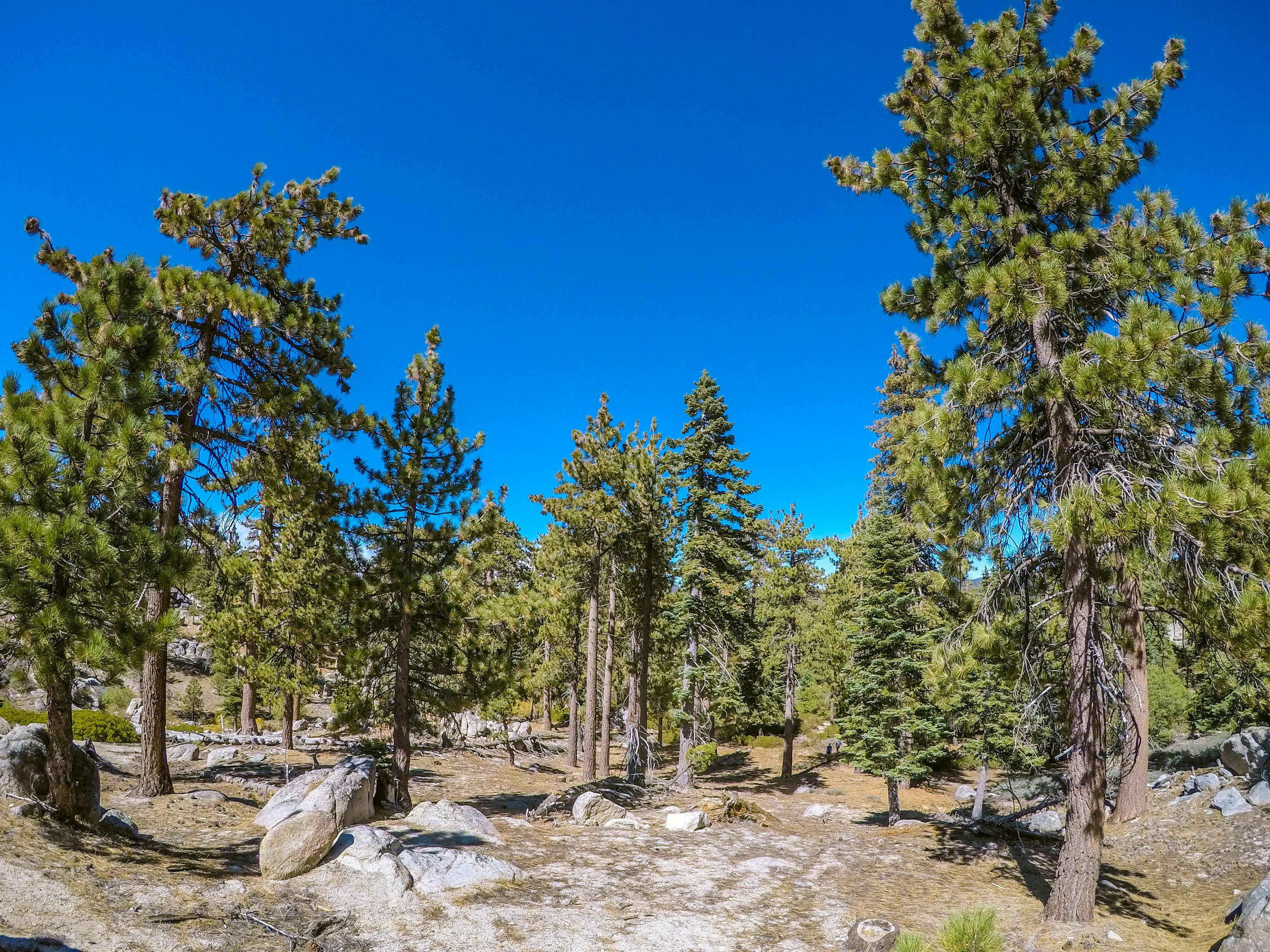 Photo by zaclikessnacks