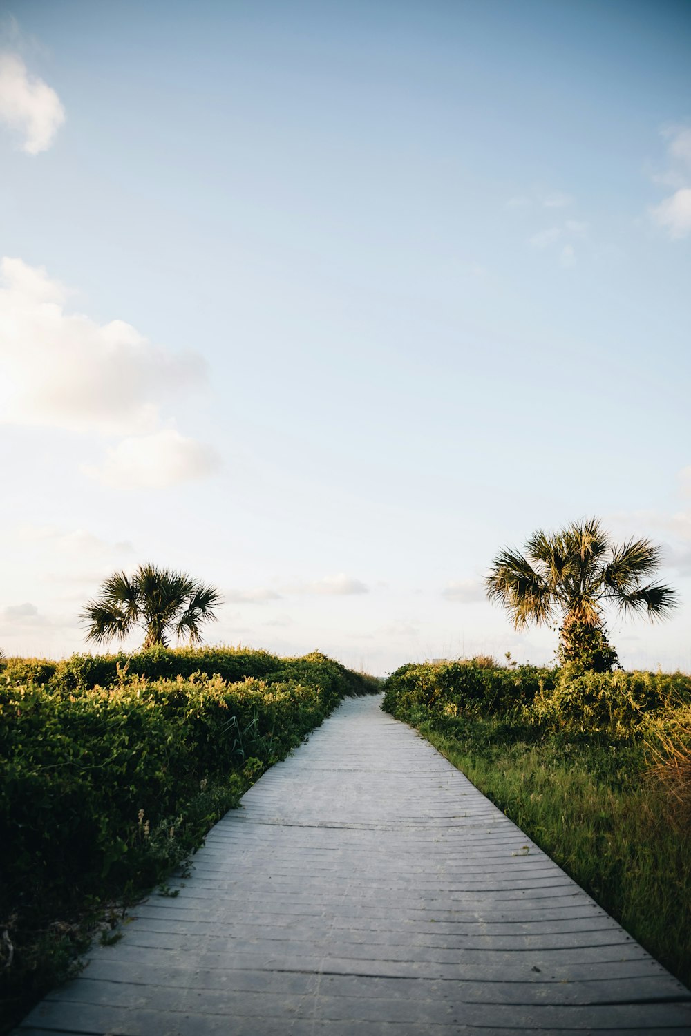 gray concrete pathway between green grass field under gray sky during daytime