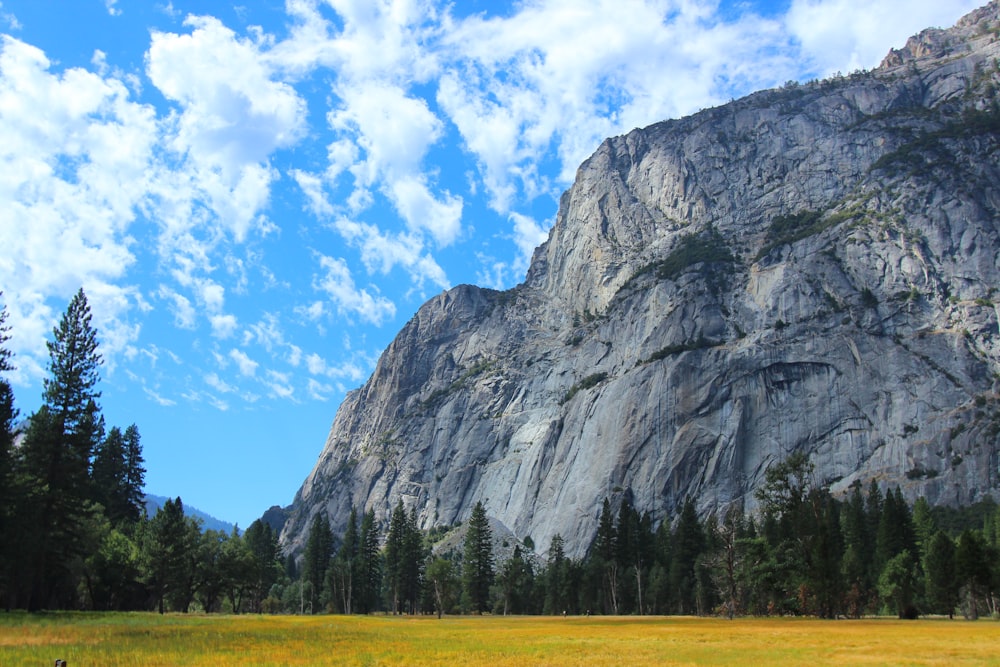 green grass field near gray mountain under blue sky during daytime