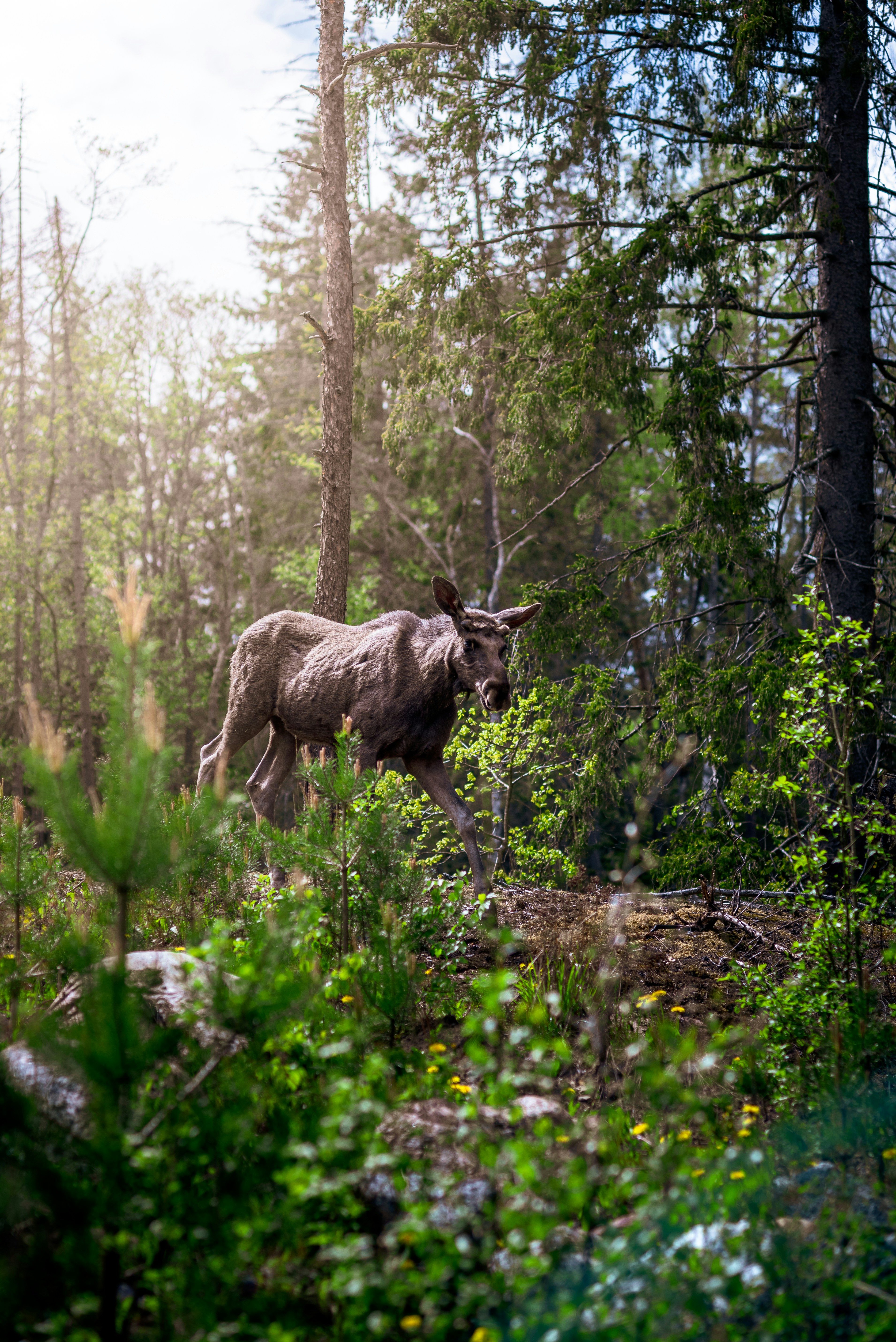 Photo by snapping_around