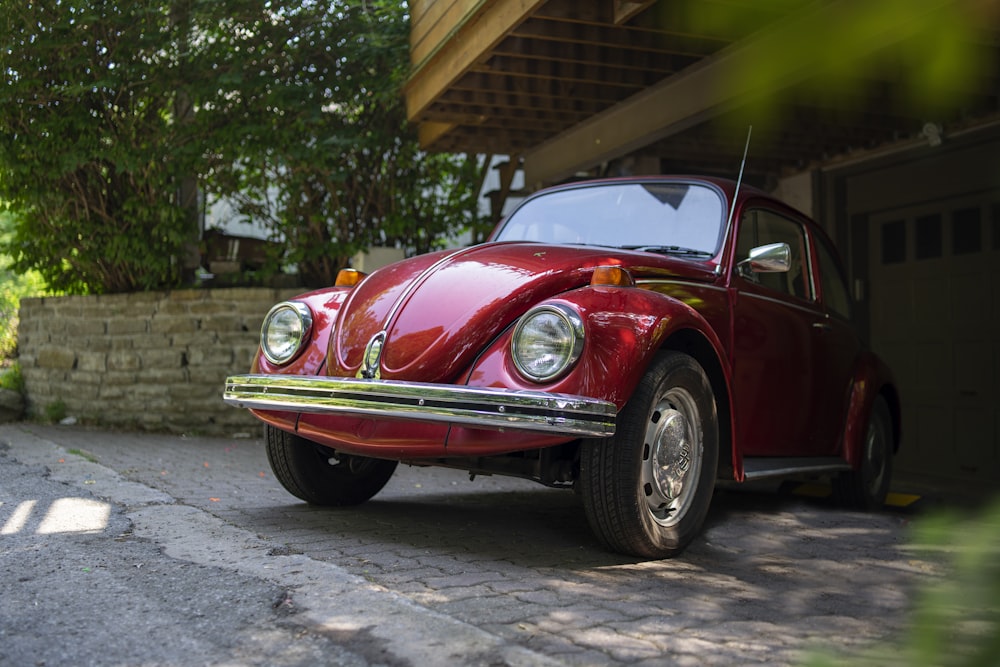 red vintage car parked near green tree during daytime