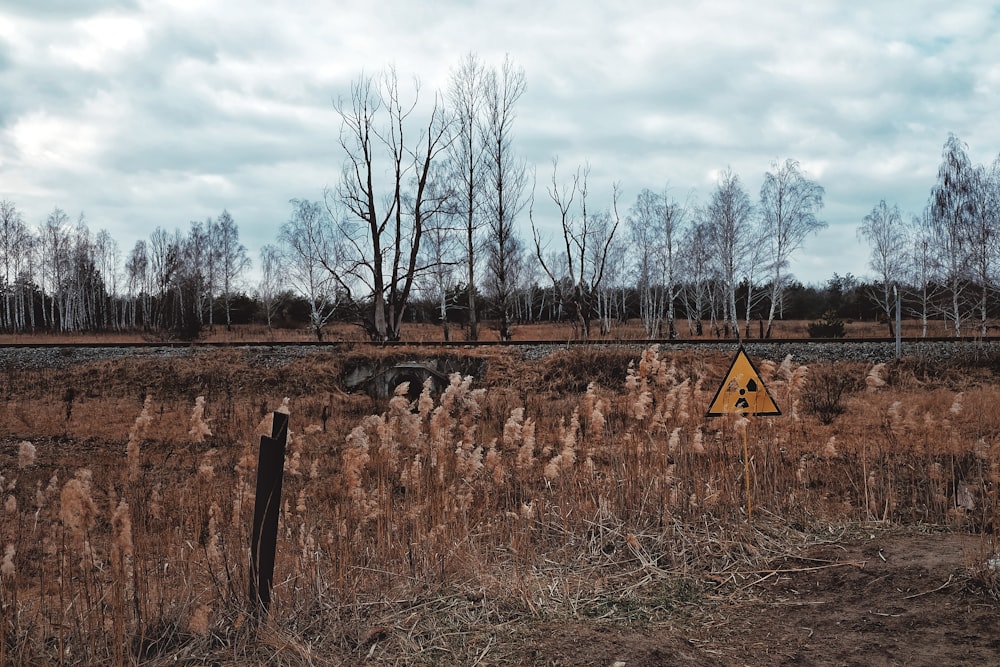 brown wooden house near bare trees under white clouds during daytime