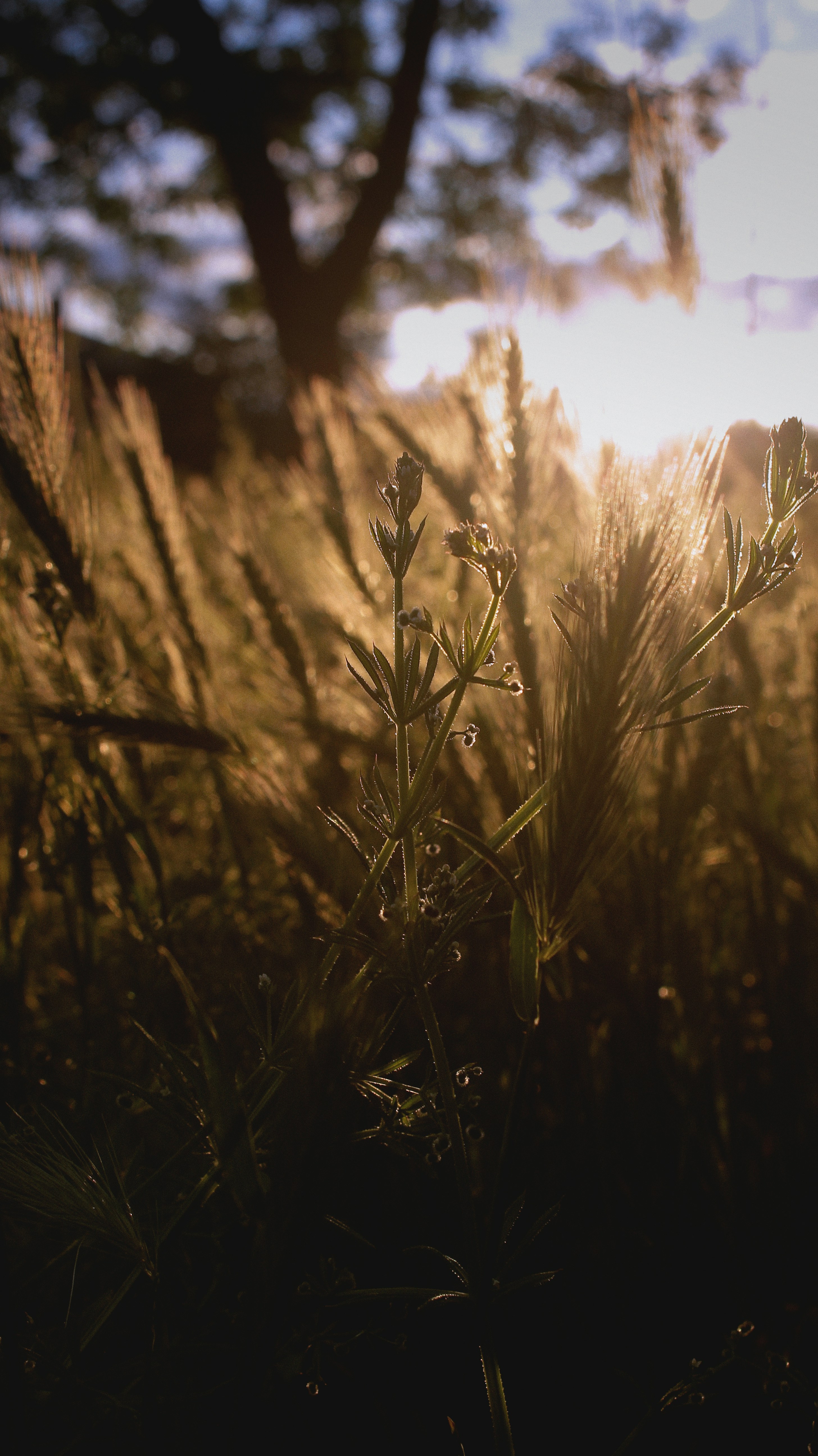 Photo by iamfrancismorgan