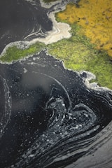 Swirling patterns of dark water are contrasted by vibrant patches of bright green and yellow algae or moss on the surface. Foamy textures are scattered across the water, creating an abstract and organic design.