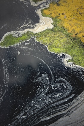 Swirling patterns of dark water are contrasted by vibrant patches of bright green and yellow algae or moss on the surface. Foamy textures are scattered across the water, creating an abstract and organic design.