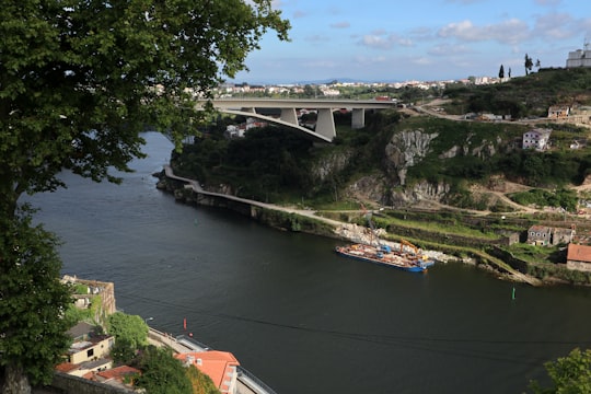 white bridge over river during daytime in Oporto Portugal