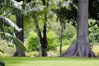 A lush Amazon-inspired garden with wooden textures and vibrant green foliage.