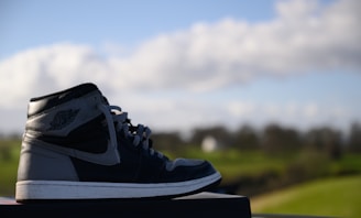 A rugged high-top shoe displayed against a backdrop of outdoor scenery.