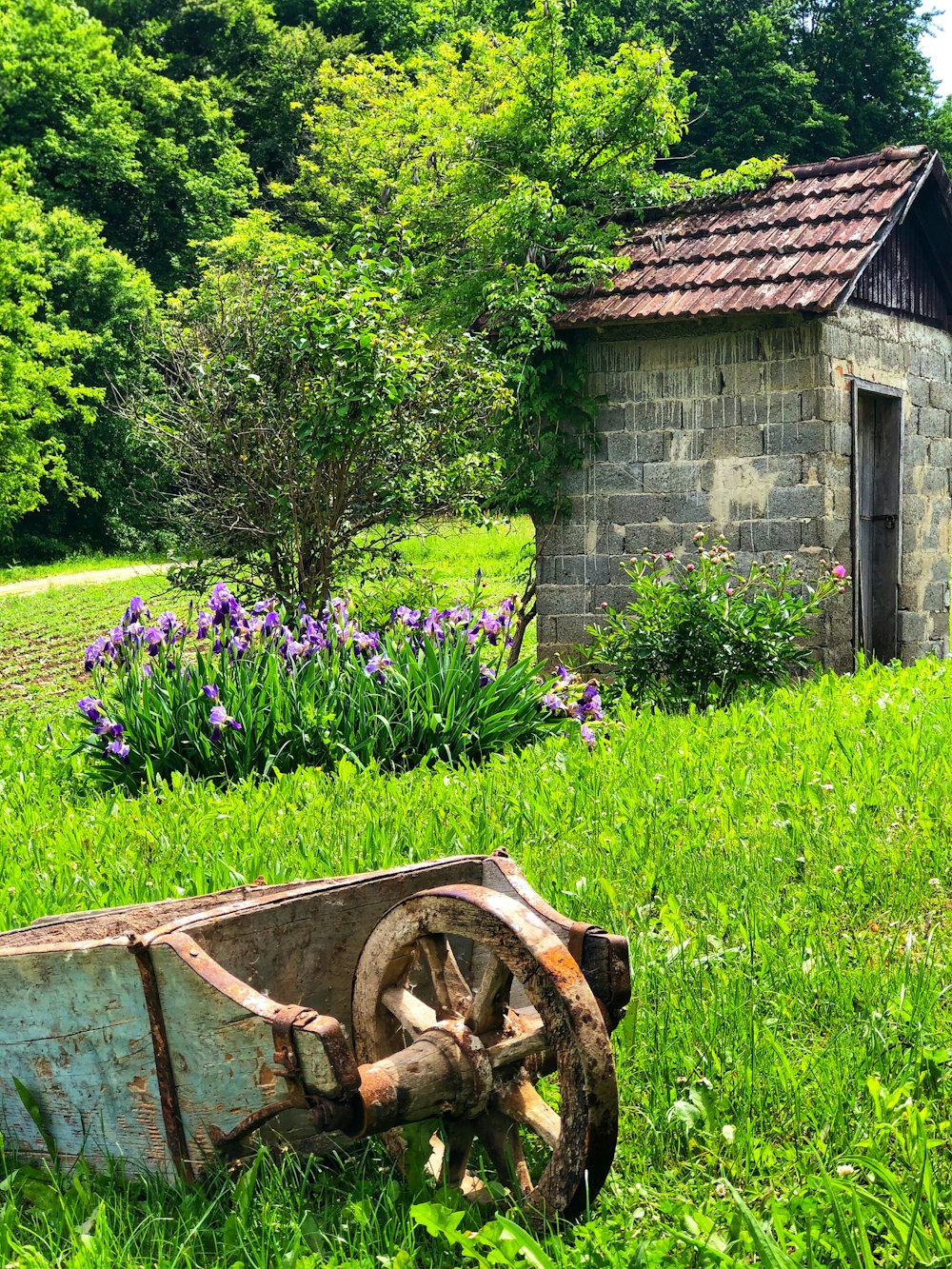 brown wooden cart on green grass field near green concrete house during daytime