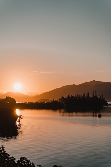 silhouette of trees near body of water during sunset