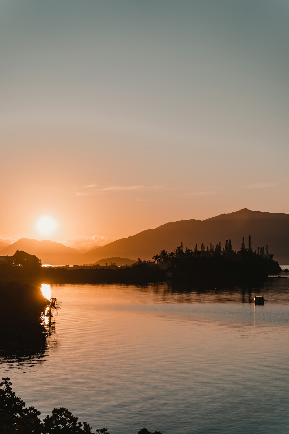 silhouette of trees near body of water during sunset