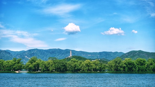green trees near body of water under blue sky during daytime in The Summer Palace China