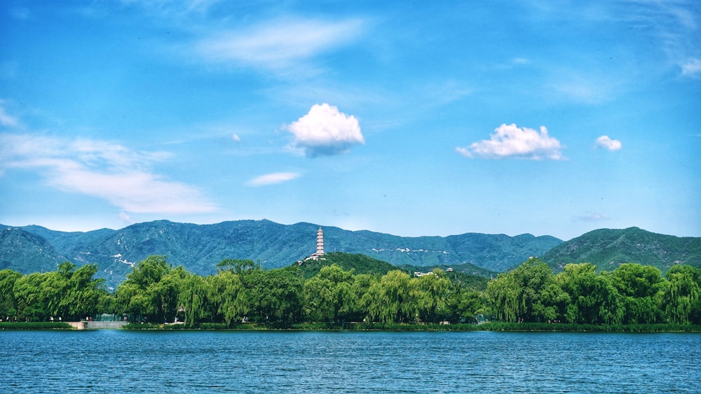 green trees near body of water under blue sky during daytime