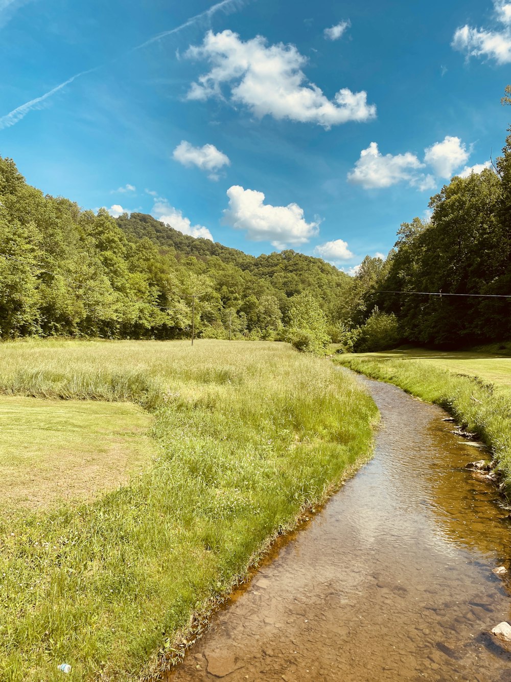 green grass field and trees under blue sky during daytime