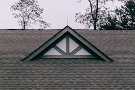 best roofing materials for virginia homes