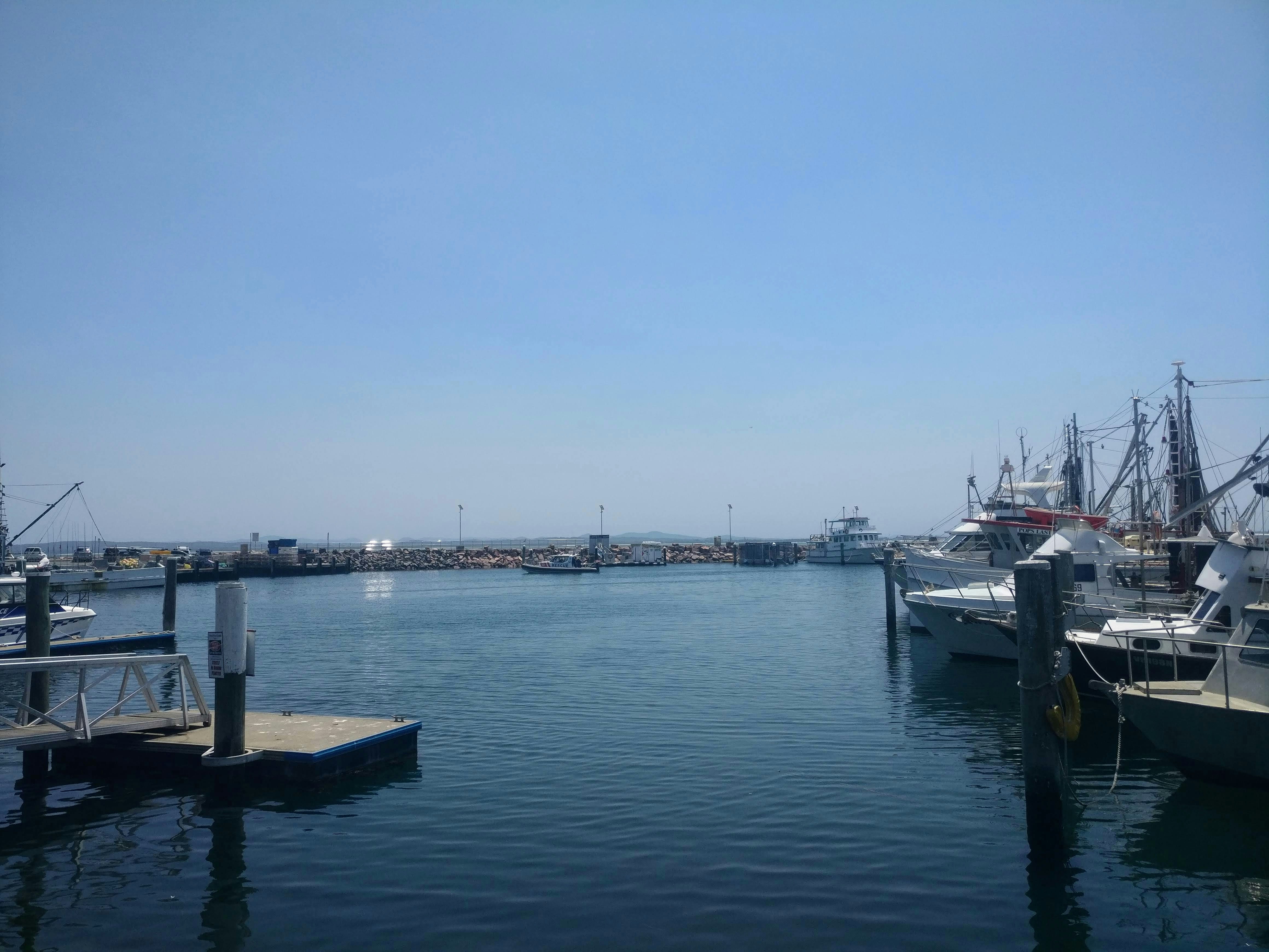 The Newport Beach Whaler Menu