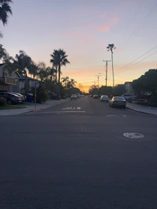Sunset view over a quiet neighborhood street lined with palm trees.