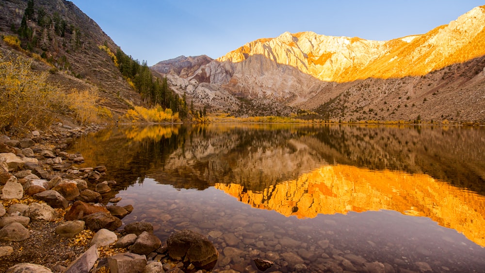 lake near green trees and mountain during daytime