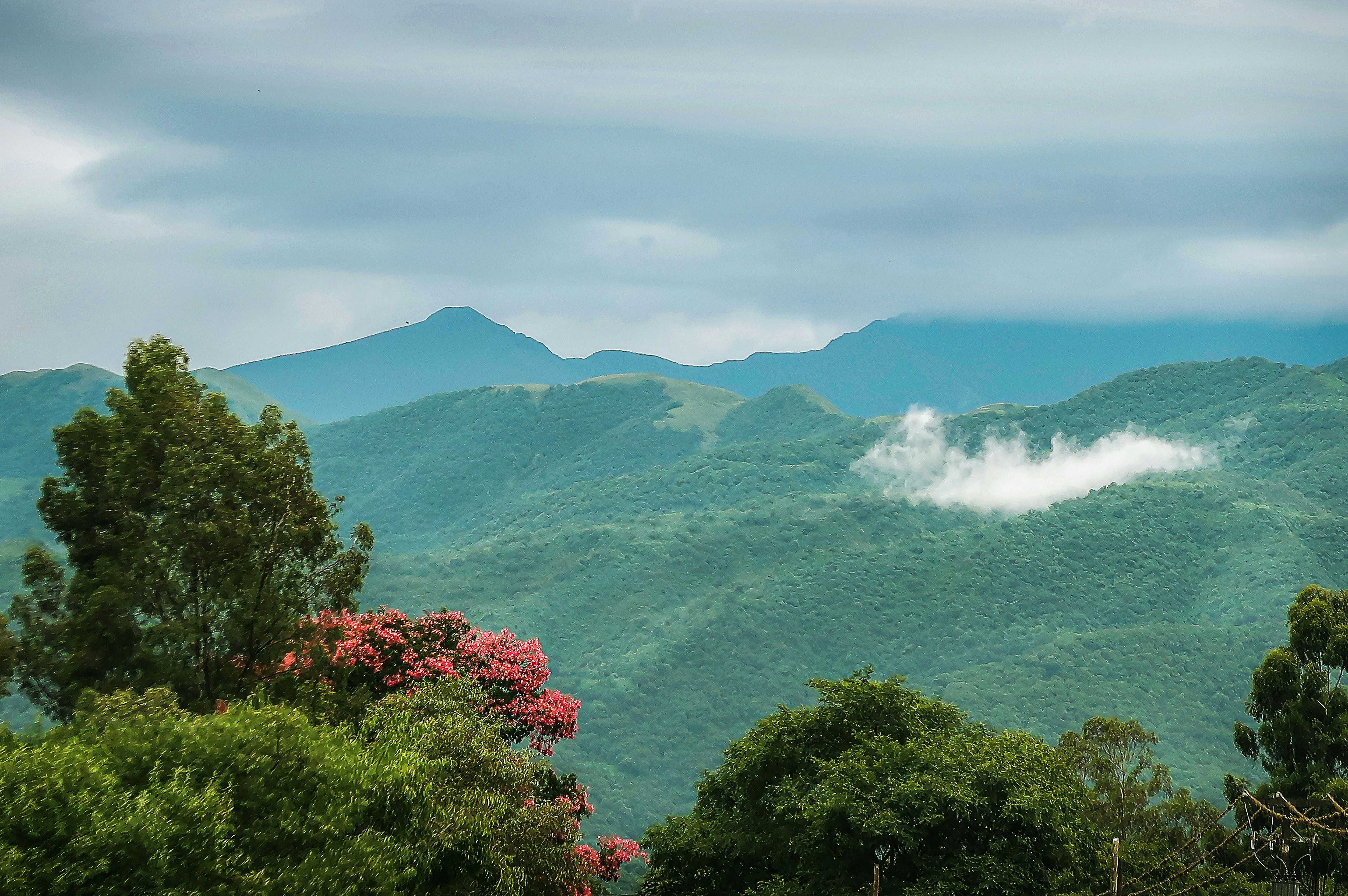 Photo by argentinanatural