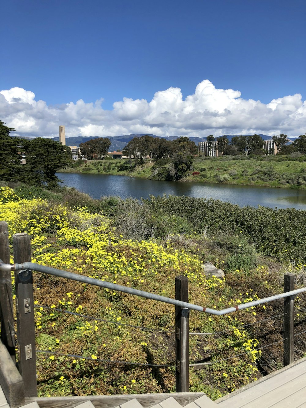 Campo de hierba verde cerca del lago bajo el cielo azul durante el día