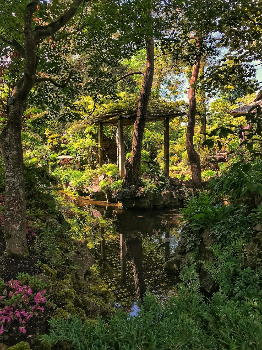 昼間の川沿いの緑の木々