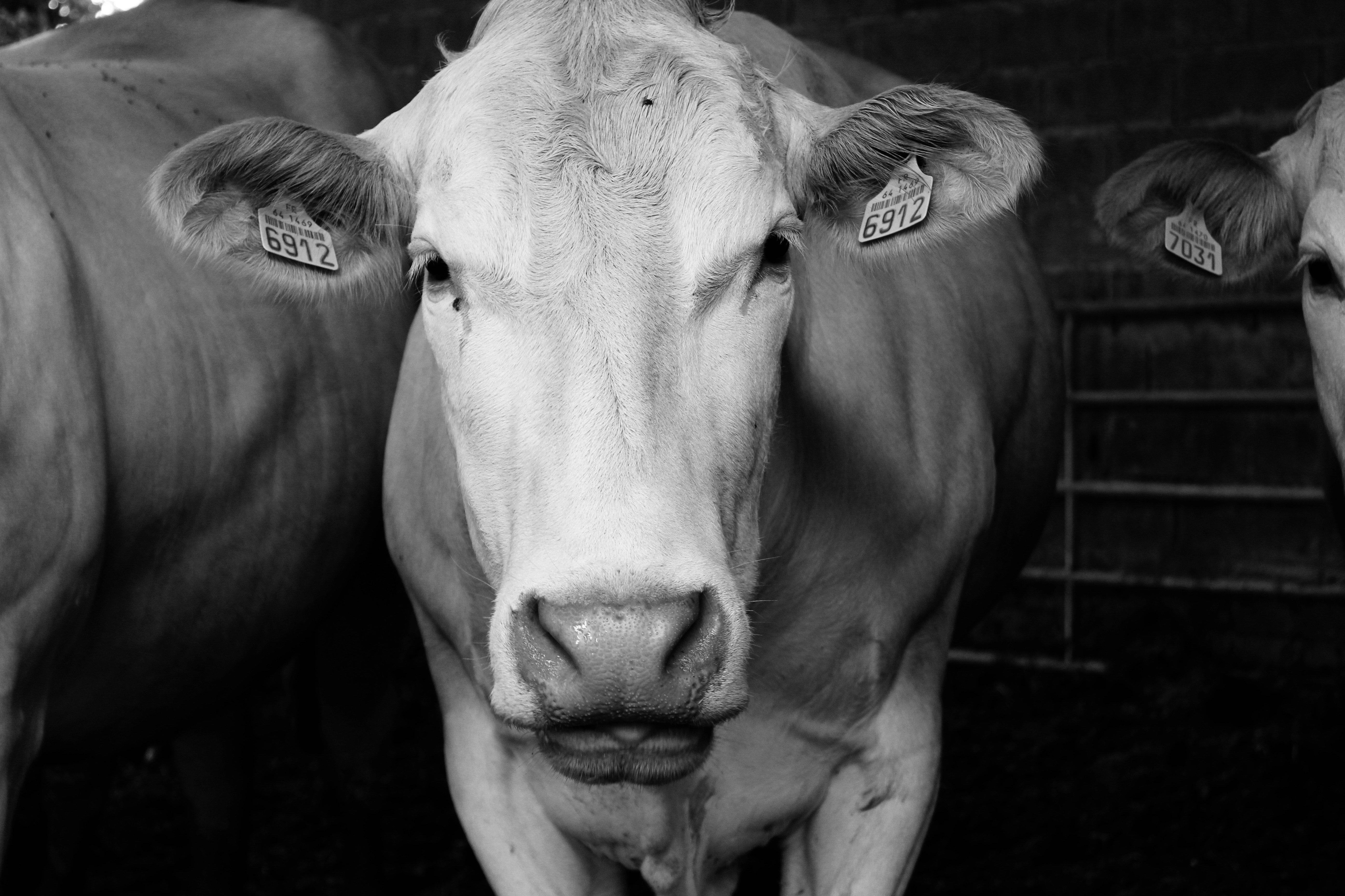 Photo by charlottepickering