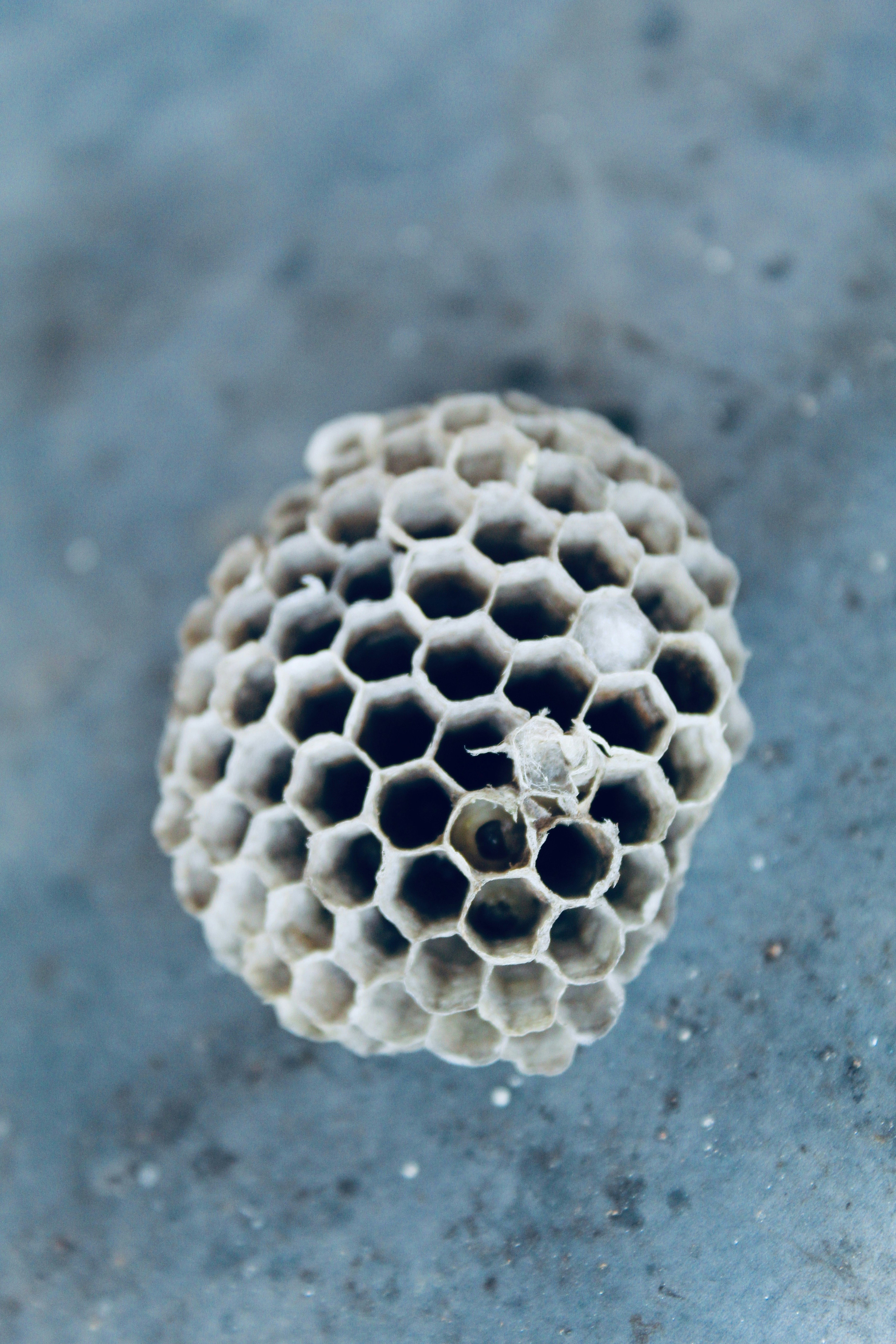 Photo by charlottepickering