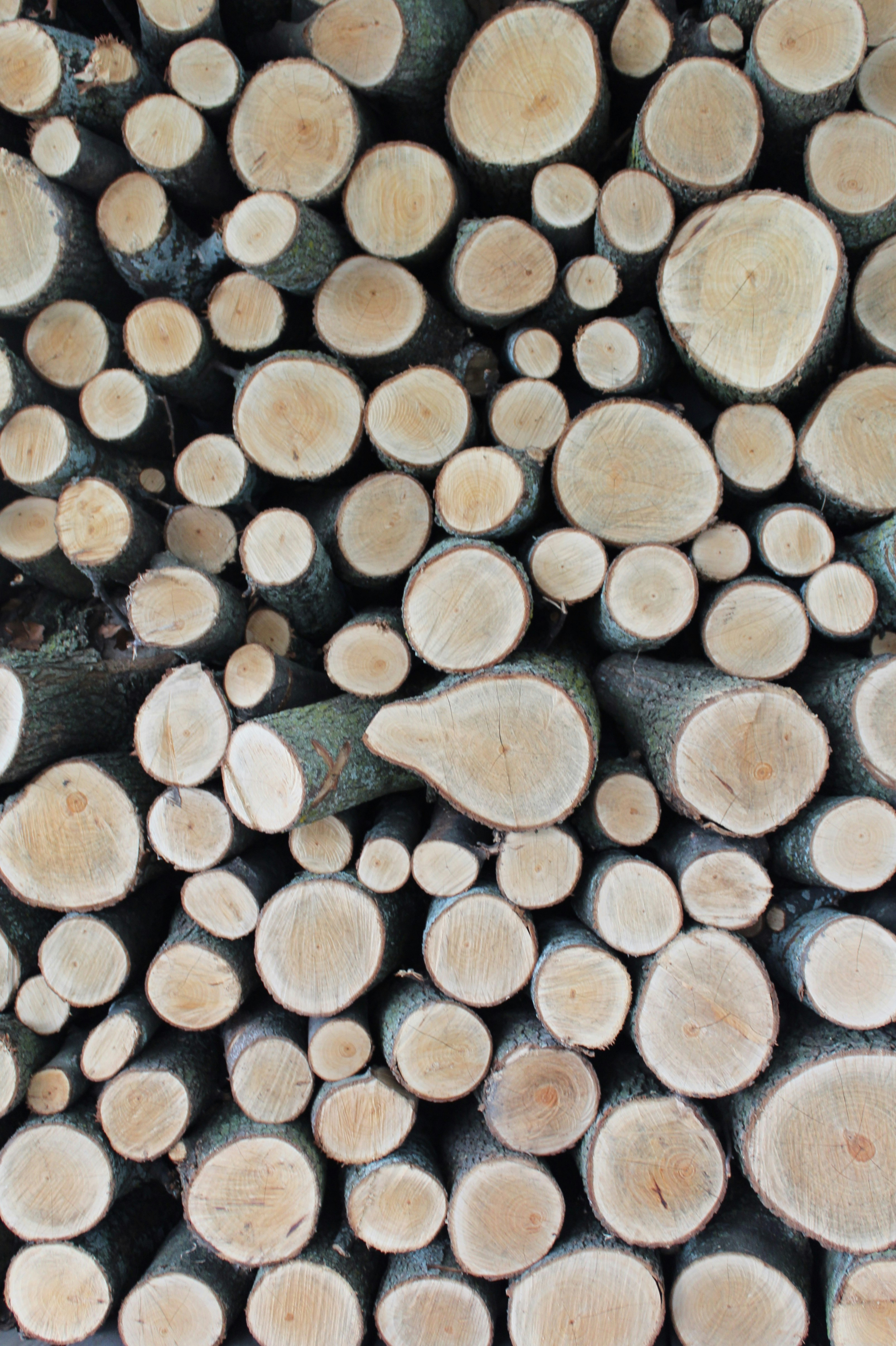 Photo by charlottepickering