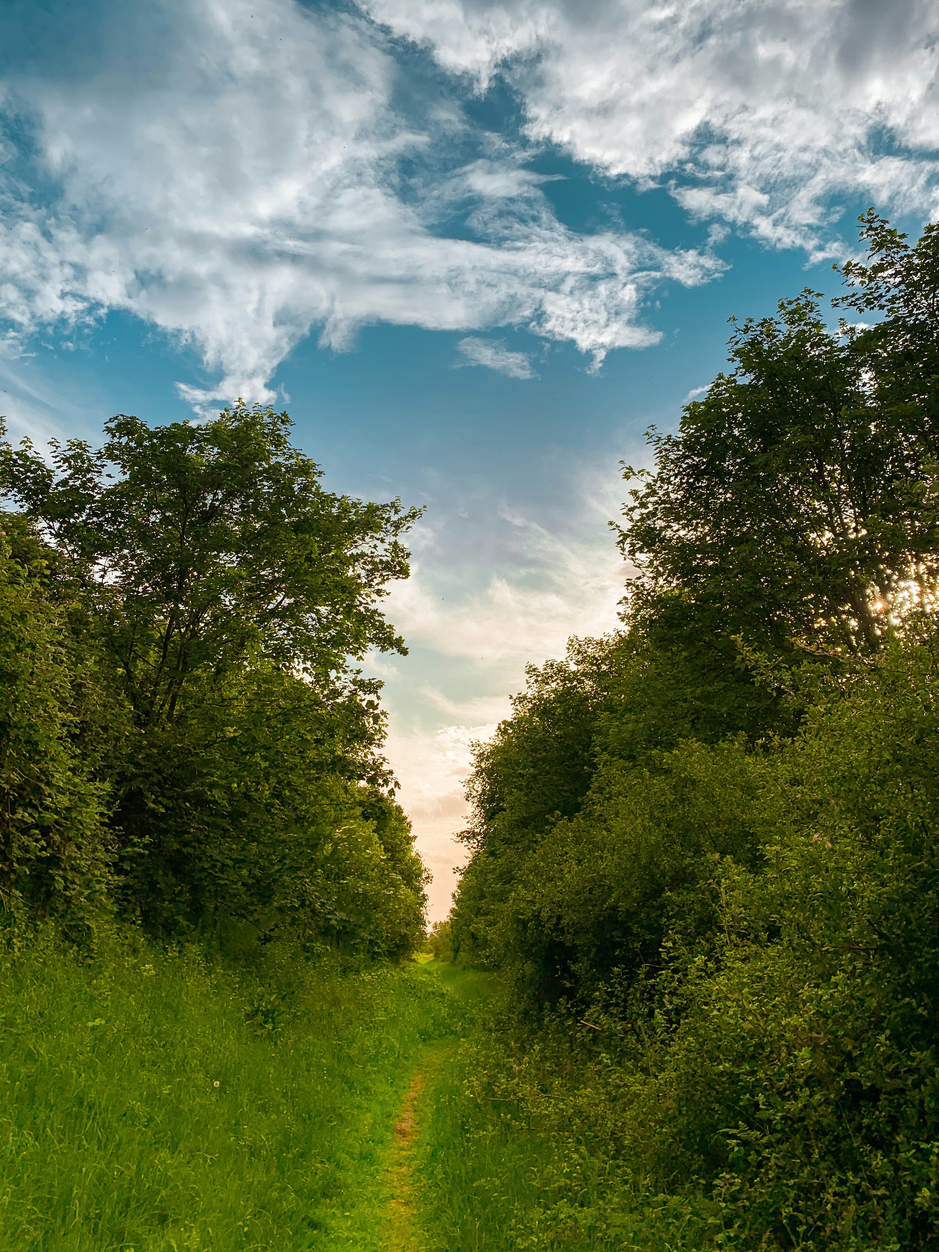 Photo by omarvellous14