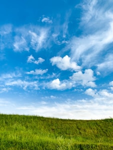 green grass field under blue sky and white clouds during daytime