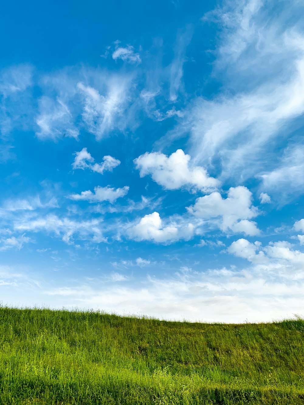 green grass field under blue sky and white clouds during daytime