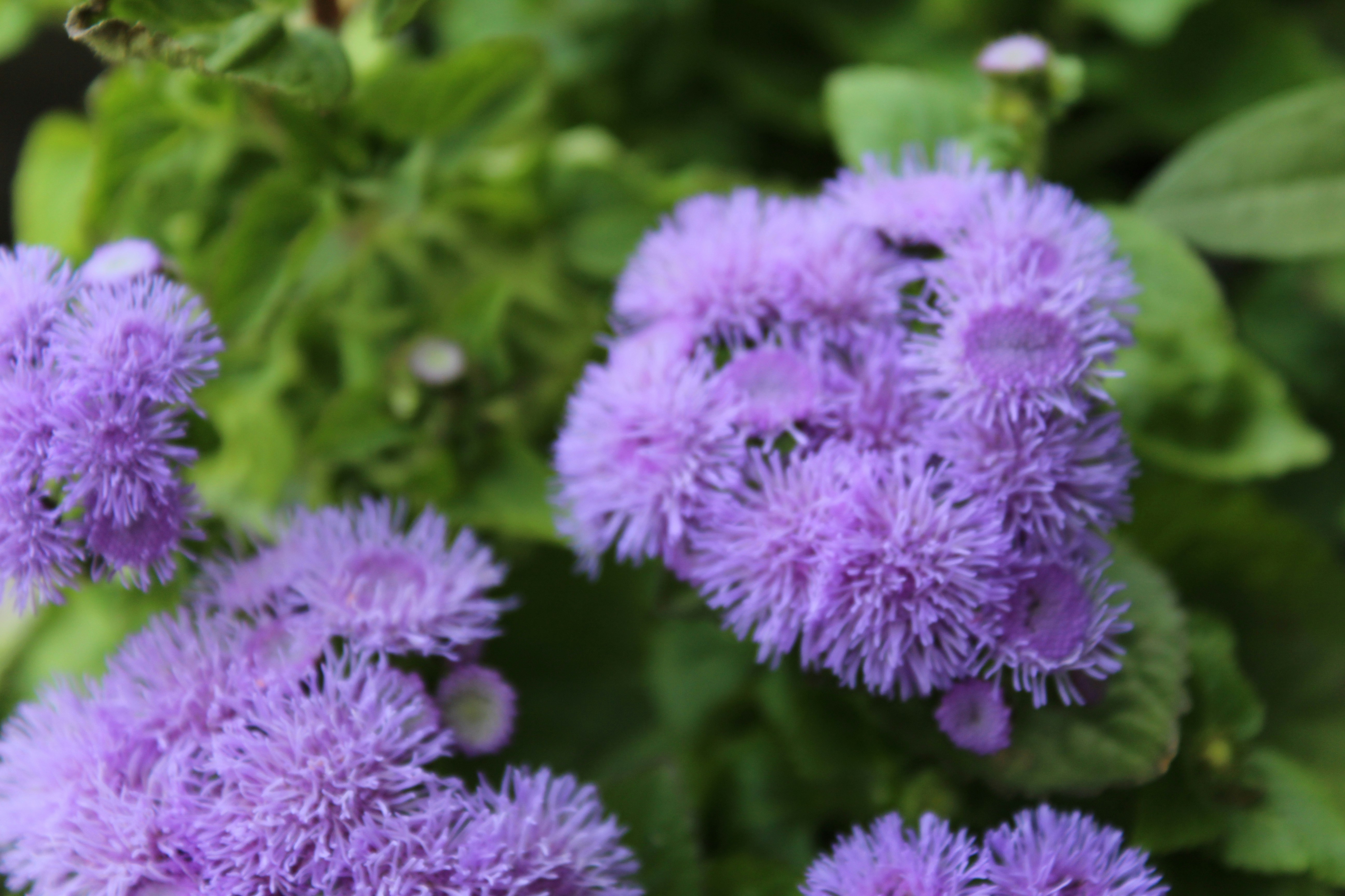 Photo by charlottepickering