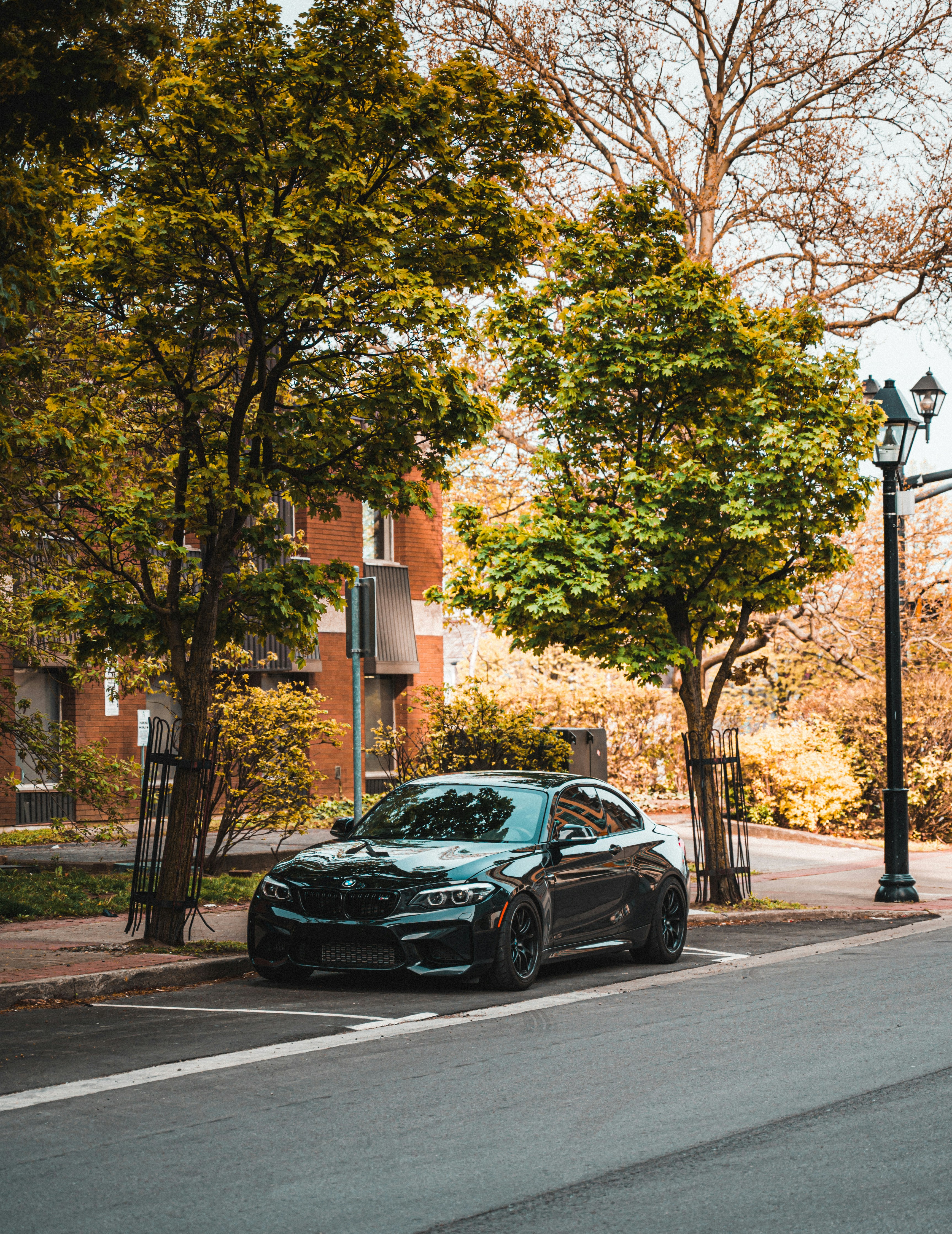 black sedan on road near green trees during daytime